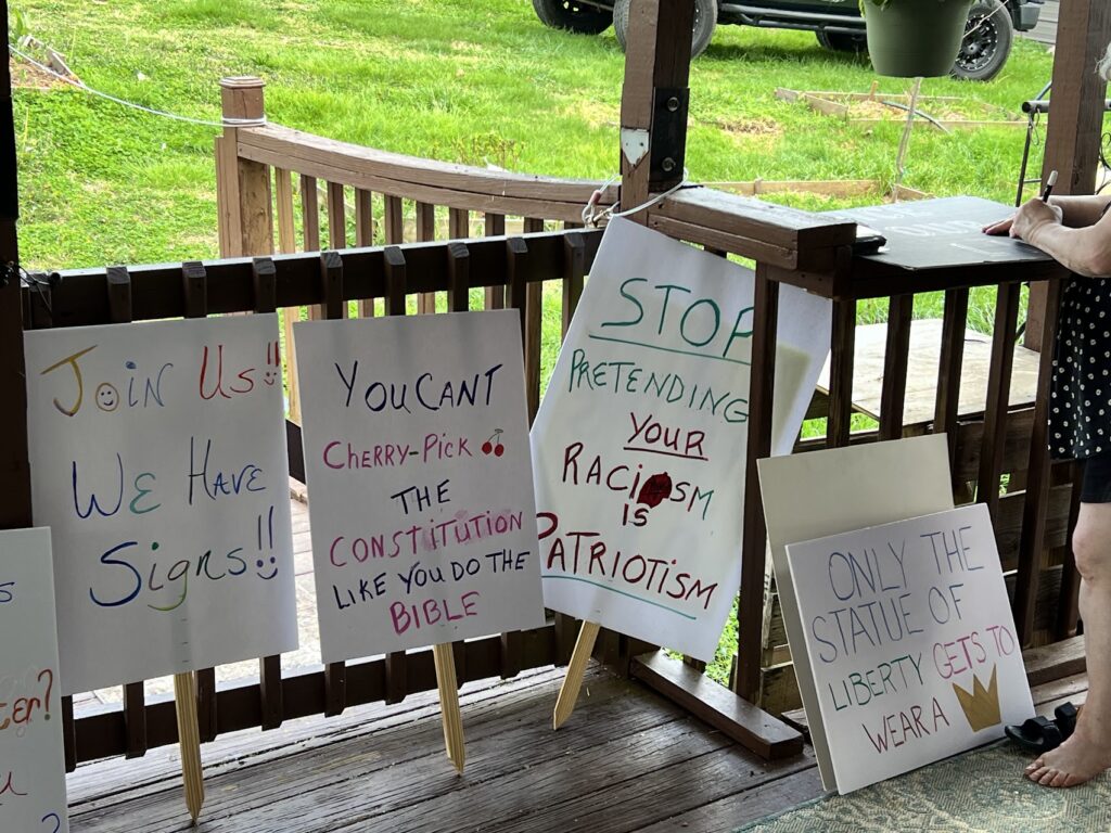 A line up of signs created for a no kings protest